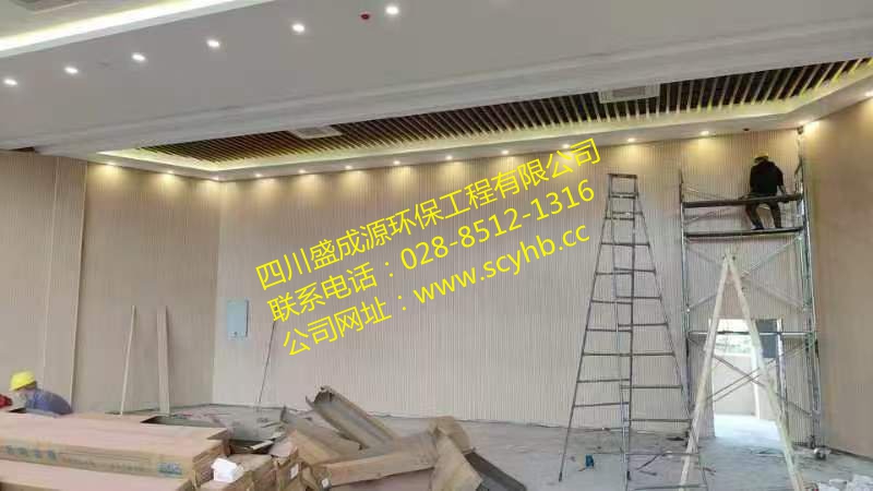 成都双流东升小学体育馆吸音墙施工